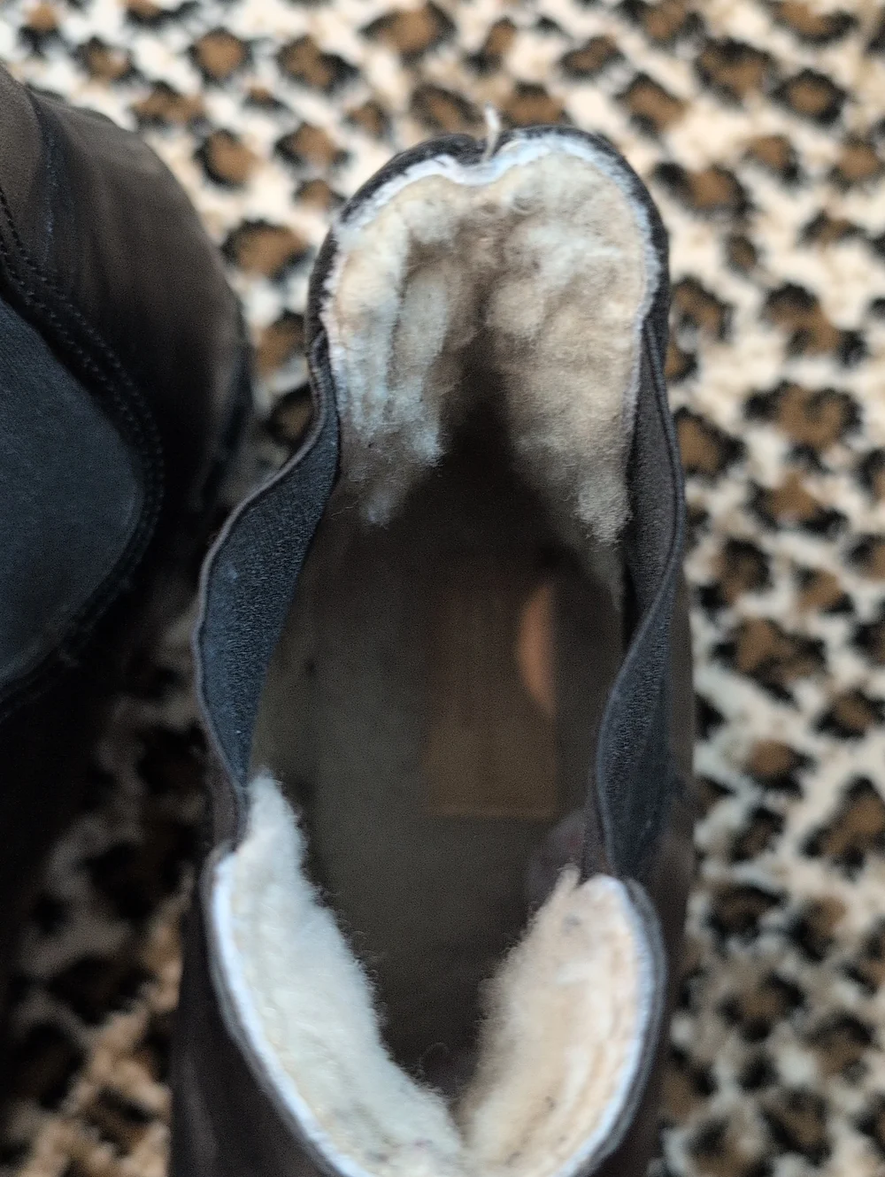 UGG collection sleek